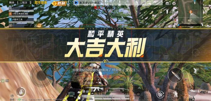 和平精英黑屏辅助怎么解决（和平精英黑屏闪烁怎么解决）